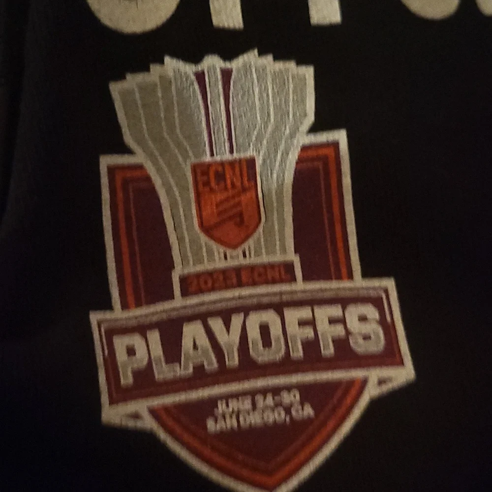 Jordan Play off 23 San Diego California  black pullover Hoodie